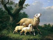 unknow artist Sheep 074 oil on canvas